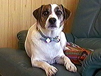 �o�f�B �ʐ^1