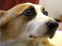 �{�M�[ �ʐ^1