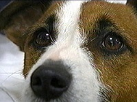 �`���R �ʐ^1