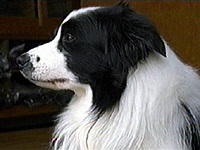 ���� �ʐ^1