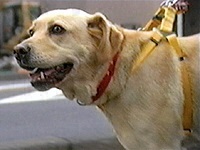 �i�i�q �ʐ^1