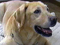 ���� �ʐ^1