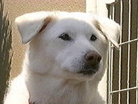 ���炨 �ʐ^1