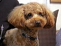 ���B���B �ʐ^1