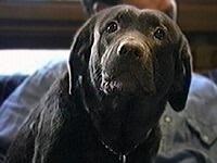 �`���R �ʐ^1