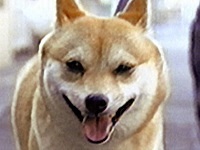 �J���� �ʐ^1