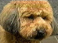 �N���A �ʐ^1