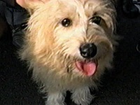 ���� �ʐ^1