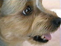 ���� �ʐ^1