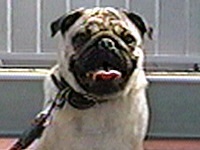 ���� �ʐ^1