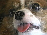 �A�X�N �ʐ^1