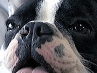 �Ў��Y �ʐ^1