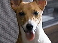 �V���R�� �ʐ^1