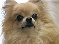 ���� �ʐ^1