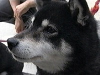 ������ �ʐ^1