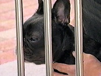 ������ �ʐ^1