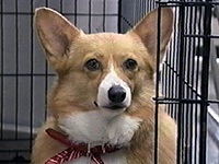 �W���� �ʐ^1