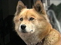 �x�m�q �ʐ^1