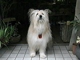 AbV ʐ^5