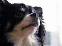 �r���[�� �ʐ^1