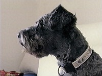 ���� �ʐ^1