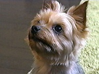 ���r�� �ʐ^1