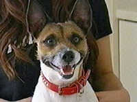 �W���b�N �ʐ^1