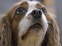 ���� �ʐ^1