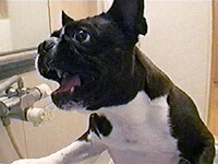 �䂤���낤 �ʐ^1