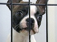 ���� �ʐ^1