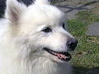 ���� �ʐ^1