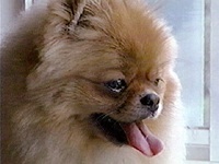 �~���N �ʐ^1