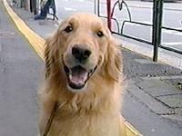 �C�M�[ �ʐ^1