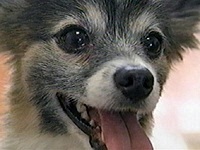 ����ׂ� �ʐ^1