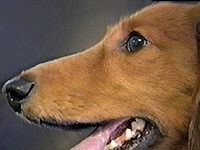 ���[�N �ʐ^1