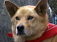 �`���b�s�[ �ʐ^1