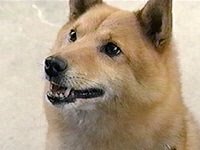 ������ �ʐ^1