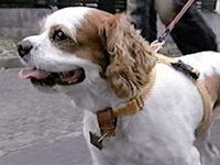 ���܂� �ʐ^1