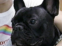 ���� �ʐ^1