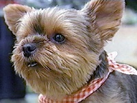 �����[ �ʐ^1