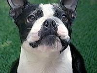 �����[ �ʐ^1