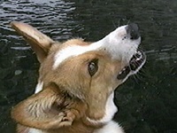 �x���[ �ʐ^1