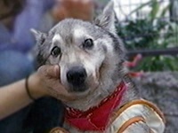 �`�b�v �ʐ^1