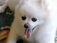 ���� �ʐ^1