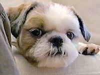 ���b�Z�� �ʐ^1