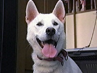 ������ �ʐ^1