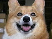 ^ ʐ^1