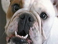 ���[�� �ʐ^1