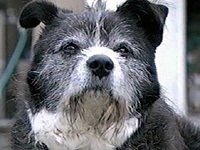 �䂤���� �ʐ^1