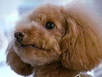 �҂��� �ʐ^1